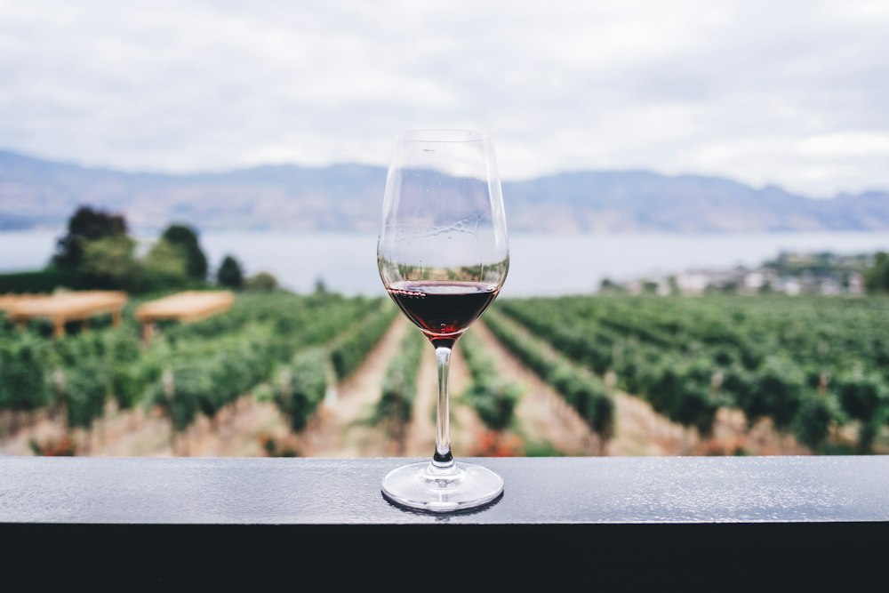 Un verre de vin rouge posé face au vignoble